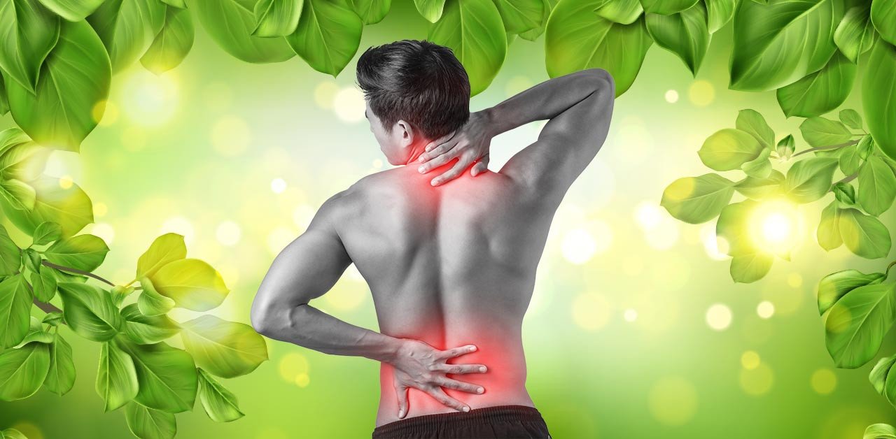 fb thumbnail ayurveda to get rid back pain