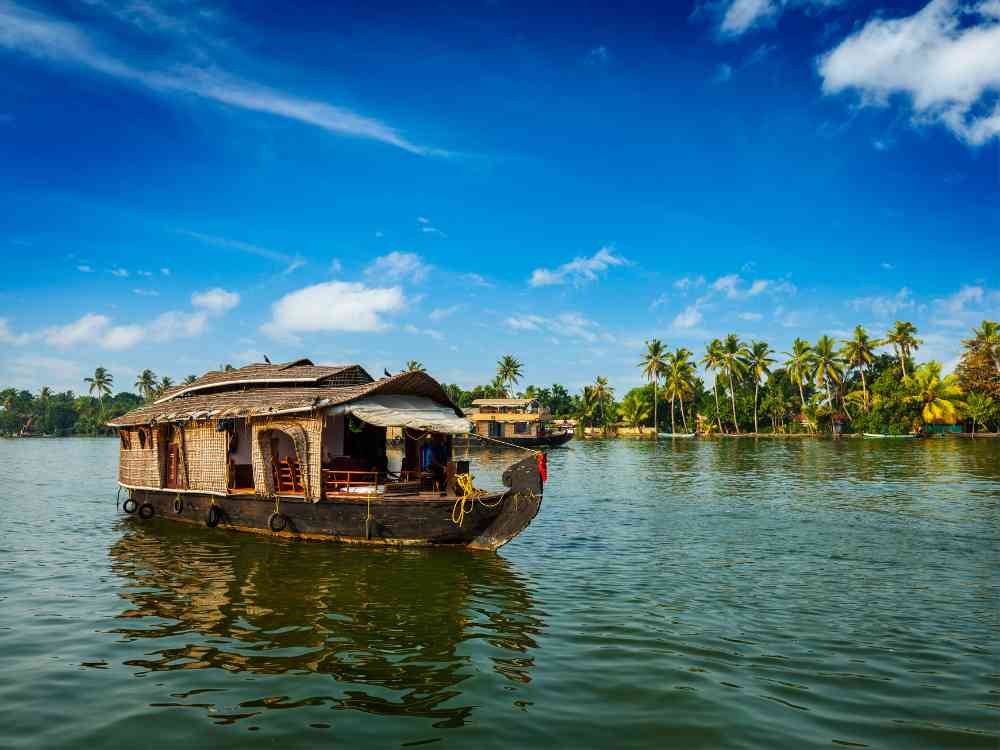 2745d95c backwaters kerala (1)