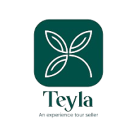 images 1 removebg preview