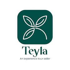 images 1 removebg preview