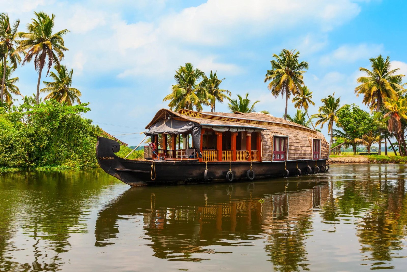 Kerala Backwater Wellness Journey