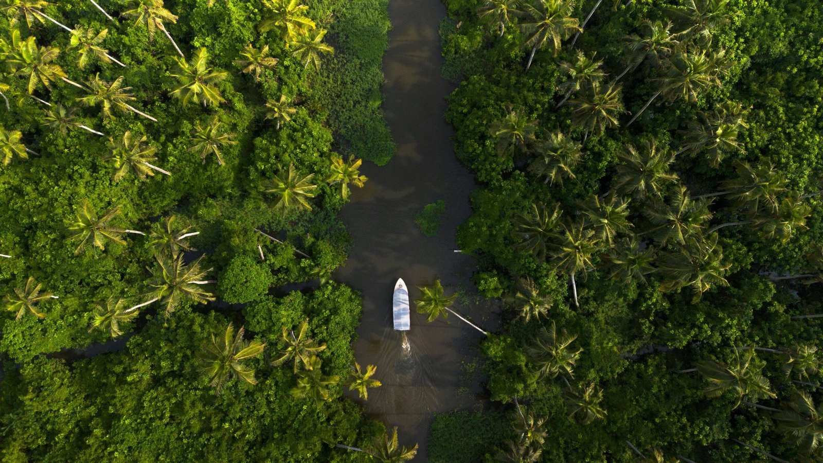 Kerala backwaters